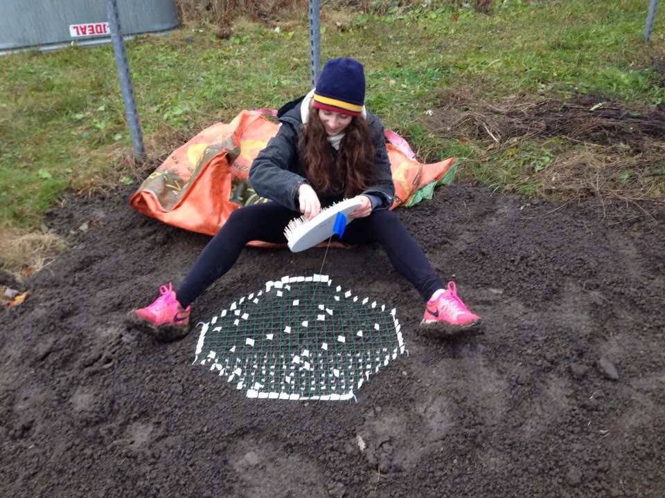 Sydney Rotman planting her germination experiment at the Experimental Climate Warming Array, November, 2017.