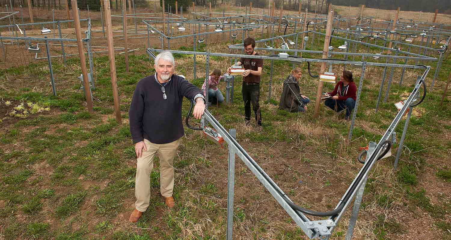 At the Experimental Climate Warming Array, 2012.